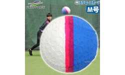 野球 フィールドフォース トレーニング 回転チェックボール M号 FNB-721MK 野球用品 スワロースポーツ