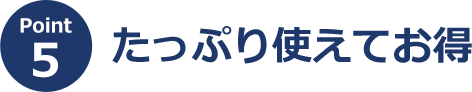 ポイント5 たっぷり使えてお得