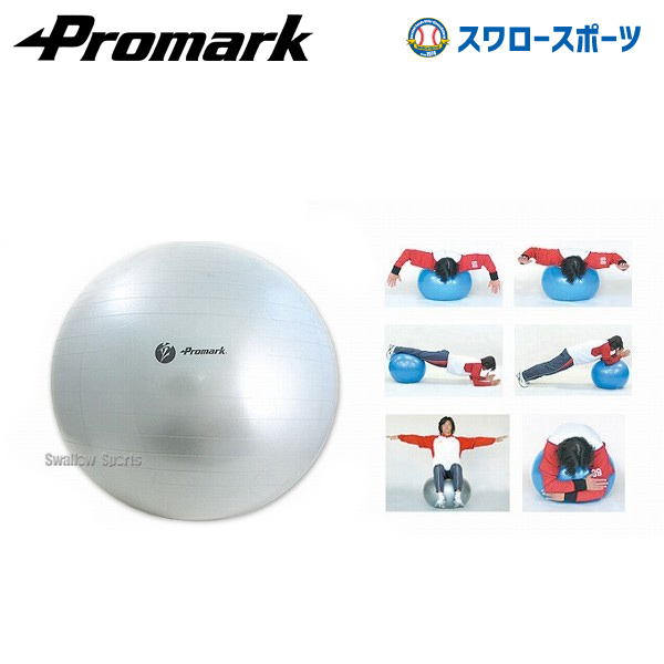 プロマーク バランスボール レベル4 Tpt0275 トレーニング 室内 屋内 野球用品専門店 スワロースポーツ 激安特価品 品揃え豊富