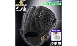 野球 ハイゴールド 湯もみ型付け済 軟式グローブ グラブ 投手用 己極 ピッチャー 軟式ボール 2球 セット OKG2101KZ HI-GOLD 野球用品 スワロースポーツ