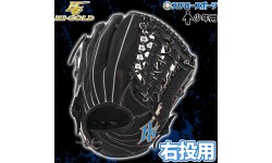 【11/17 ポイント7倍】 野球 ハイゴールド 少年軟式 軟式グローブ グラブ  少年用 ジュニア用 ルーキーズシリーズ L-LL RKG3113 HI-GOLD