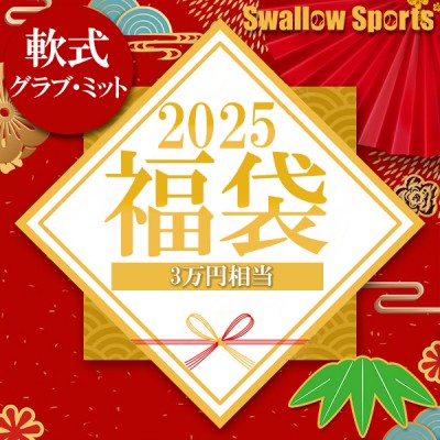 ＼【後払い不可】3万円相当！ 軟式ミット ファーストミット 一塁手用＋おすすめメンテナンス用品3点+マルチグラブ袋 竹 スワロースポーツ 2025年福袋／