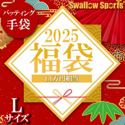 ＼【後払い不可】1.1万円相当！ バッティンググラブ2点＋バッティンググラブホルダー スワロースポーツ 2025年福袋／