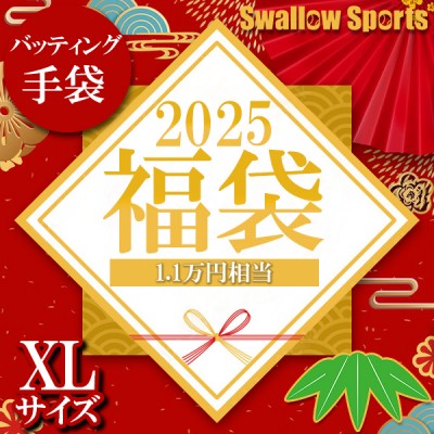 ＼【後払い不可】1.1万円相当！ バッティンググラブ2点＋バッティンググラブホルダー スワロースポーツ 2025年福袋／