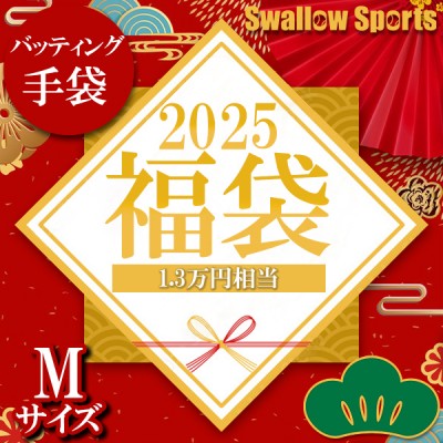 ＼【後払い不可】1.3万円相当！ バッティンググラブ2点＋バッティンググラブホルダー スワロースポーツ 2025年福袋／