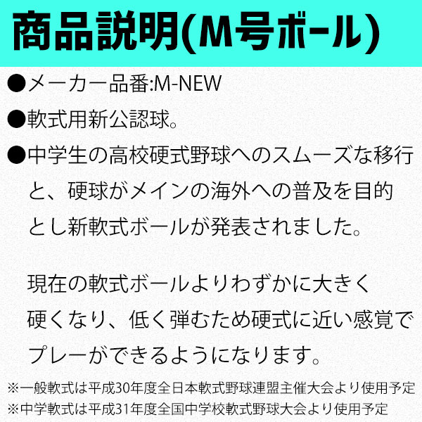 ナガセケンコー M号 軟式野球ボール M号球 5ダース ミズノプロ ボールケース セット M New5 1fjb 野球用品専門店 スワロースポーツ 激安特価品 品揃え豊富