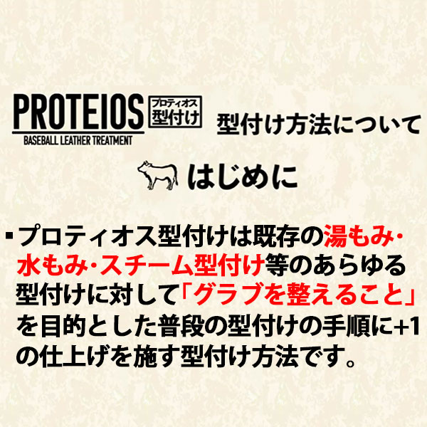 プロティオス型付け込み/代引、後払い不可 】野球 ミズノ スワロー限定