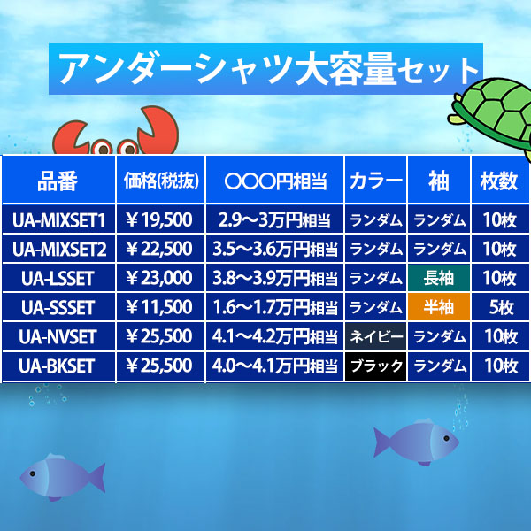 後払い不可】 3.8～3.9万円相当！ アンダーアーマー アンダーシャツ10