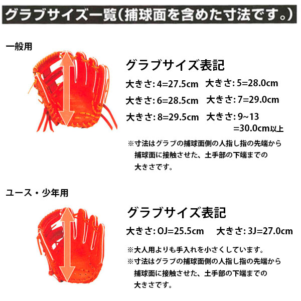 野球 ザナックス 硬式グローブ グラブ 硬式グラブ セット 2点セット