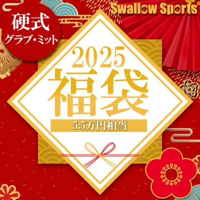 ＼【後払い不可】5.5万円相当！ 硬式グラブ 投手用 捕手用＋おすすめメンテナンス用品3点+マルチグラブ袋 梅 スワロースポーツ 2025年福袋／