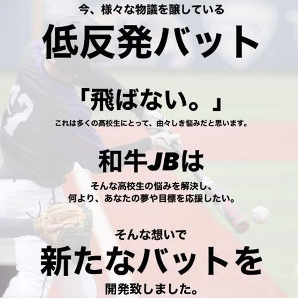 野球 和牛JB 硬式木製 バット ラミバット 竹 メイプル グラスファイバー加工済 008 013 016 グリップ 硬式 軟式 兼用 高校野球対応 学生 大学野球 和牛JB JB 中学野球 和牛JB 84cm 880g ナチュラル アルマ BPGFL-ALL