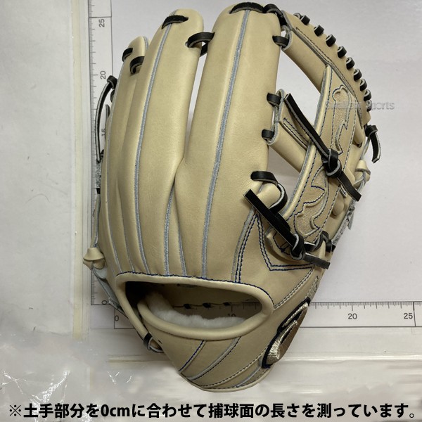 野球 アシックス 限定 高校野球対応 硬式グローブ 硬式 グラブ 内野 内野手用 右投用 GOLDSTAGE I-PRO PREMIUM タテ型 選手モデル 田中モデル 田中広輔 プロモデル 3121B343 ASICS  野球用品 スワロースポーツ