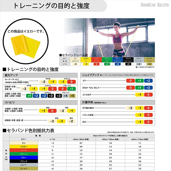 野球 D＆M THERABAND セラバンド ブリスターパック 2m 強度レベル-1 イエロー エクササイズ チューブ TBB1 野球用品 スワロースポーツ