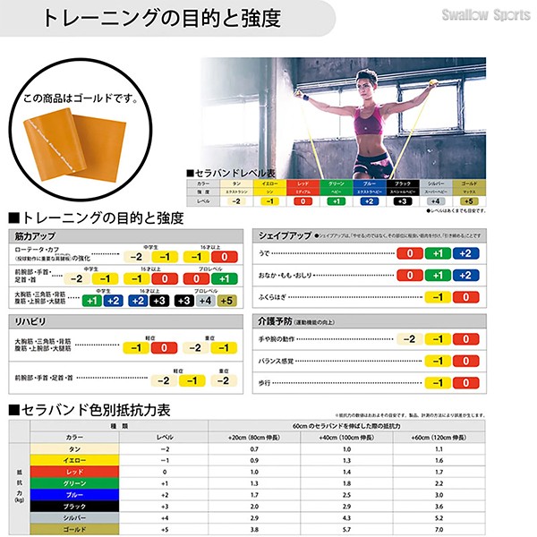 野球 D＆M THERABAND セラバンド ブリスターパック 2m 強度レベル+5 ゴールド エクササイズ チューブ TBB7 野球用品 スワロースポーツ