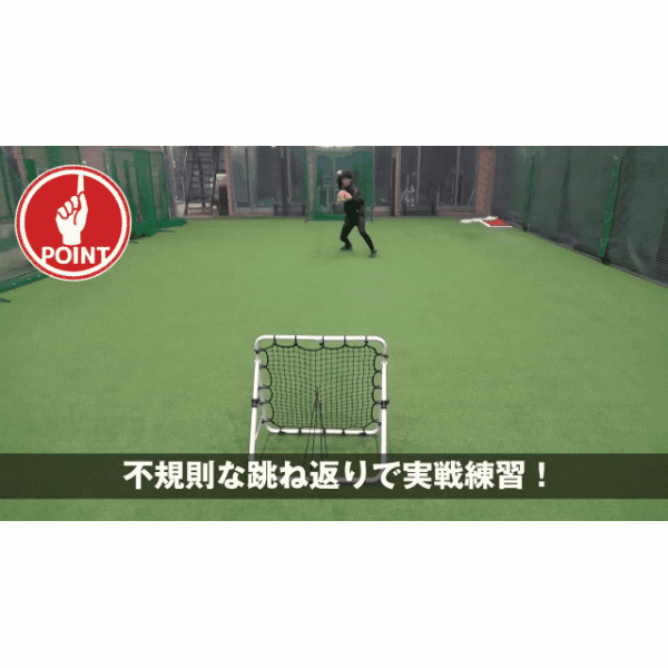 野球 フィールドフォース フィールディングネット イレギュラー ネット 守備用ネット 投球 トレーニング 練習 FPN-8086F2 Fieldforce