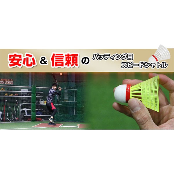 野球 フィールドフォース トレーニング バッティング上達用品 スピード