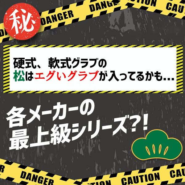 ＼【後払い不可】7万円相当！ 硬式投手用グラブ＋おすすめメンテナンス用品3点+マルチグラブ袋 松 スワロースポーツ 2025年福袋／