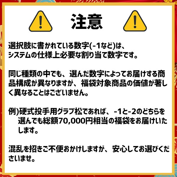 ＼【後払い不可】7万円相当！ 硬式投手用グラブ＋おすすめメンテナンス用品3点+マルチグラブ袋 松 スワロースポーツ 2025年福袋／