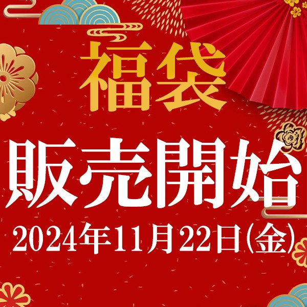 ＼【後払い不可】7万円相当！ 硬式投手用グラブ＋おすすめメンテナンス用品3点+マルチグラブ袋 松 スワロースポーツ 2025年福袋／