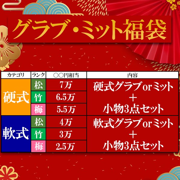 ＼【後払い不可】7万円相当！ 硬式投手用グラブ＋おすすめメンテナンス用品3点+マルチグラブ袋 松 スワロースポーツ 2025年福袋／