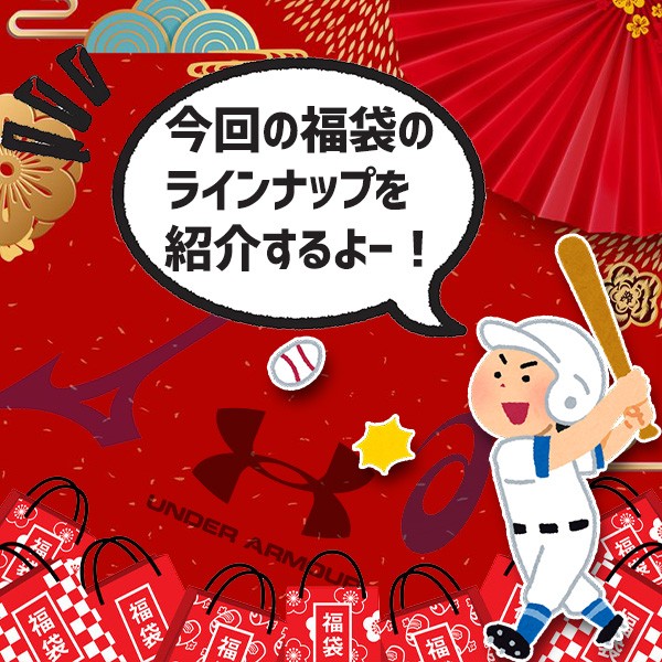 ＼【後払い不可】6.5万円相当！ 硬式グラブ内野手用＋おすすめメンテナンス用品3点+マルチグラブ袋 竹 スワロースポーツ 2025年福袋／