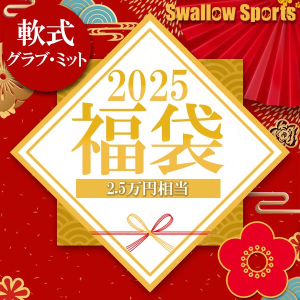 ＼【後払い不可】2.5万円相当！ 軟式内野手用グラブ＋おすすめメンテナンス用品3点+マルチグラブ袋 梅 スワロースポーツ 2025年福袋／