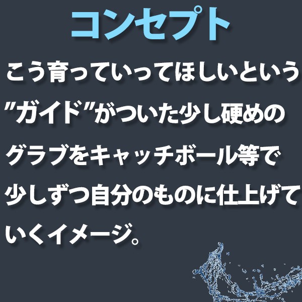 野球 アイピーセレクト 硬式グローブ 投手 アクアフィット加工済 高校野球対応 グラブ アルモニーア ピッチャー 投手用 日本製 Ip01AR-EcAFZ IP Select 野球用品 スワロースポーツ