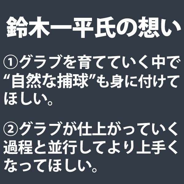 野球 アイピーセレクト 硬式グローブ 投手 アクアフィット加工済 高校野球対応 グラブ アルモニーア ピッチャー 投手用 日本製 Ip01AR-EcAFZ IP Select 野球用品 スワロースポーツ