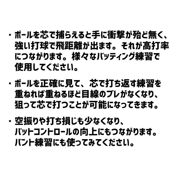 【9/7 ポイント7倍】 野球 室内 素振り バット シュアプレイ 限定 トレーニングバット PNV 芯打ちバット SBTWTS100 sureplay